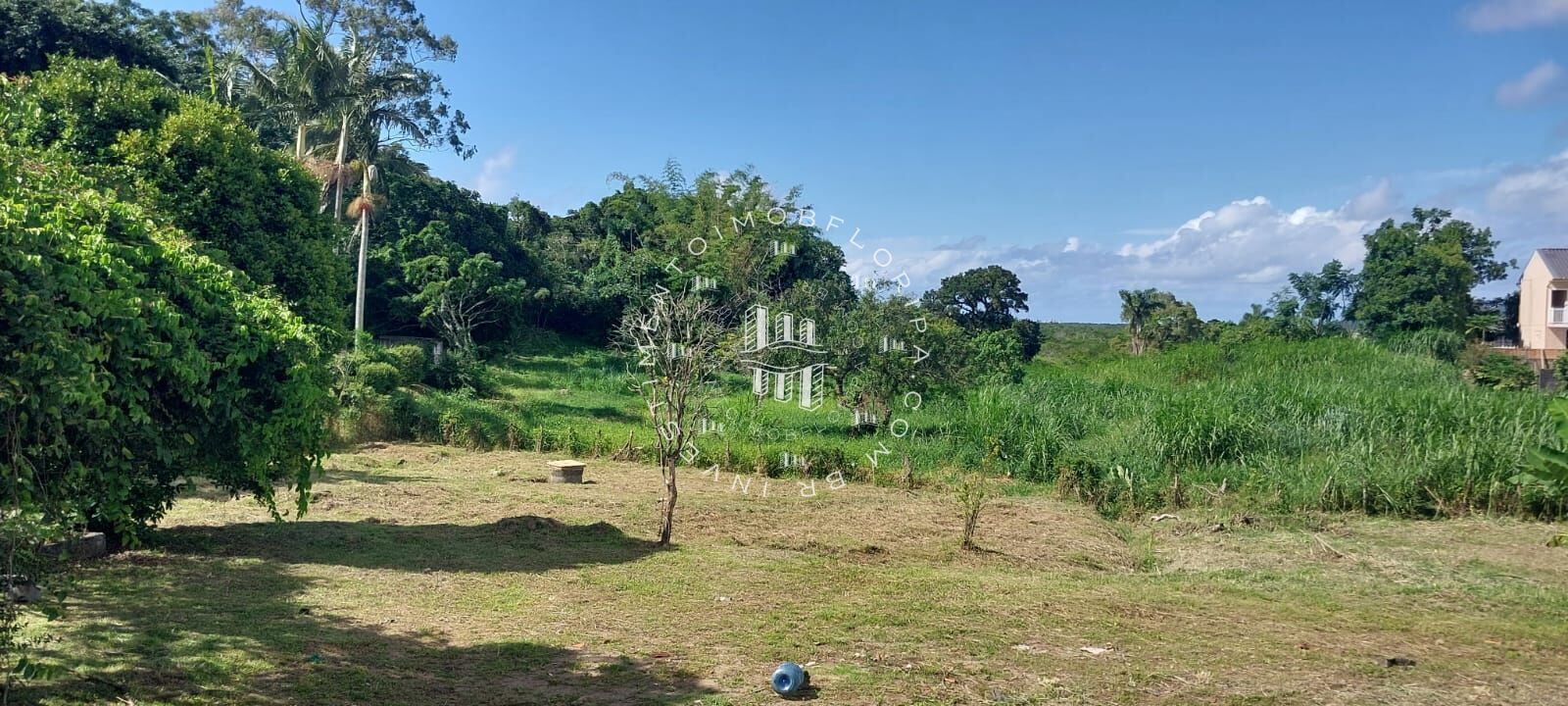 Fazenda à venda com 1 quarto, 66000m² - Foto 13