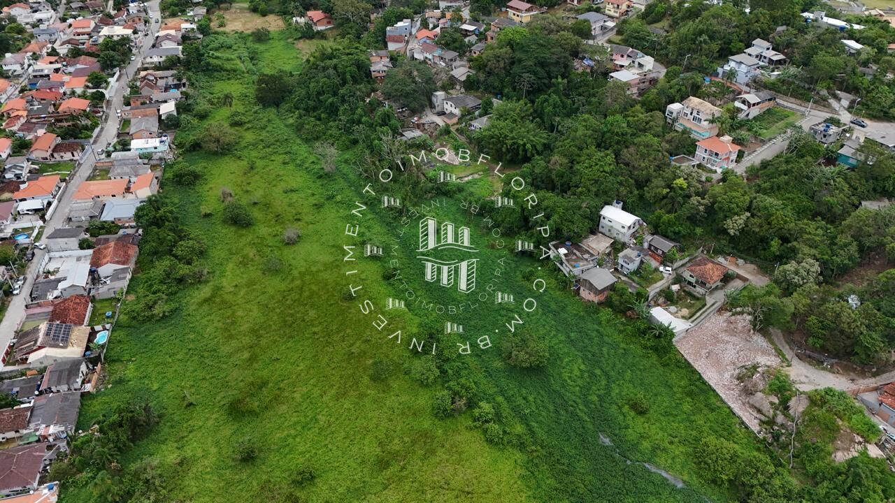 Fazenda à venda com 1 quarto, 66000m² - Foto 1