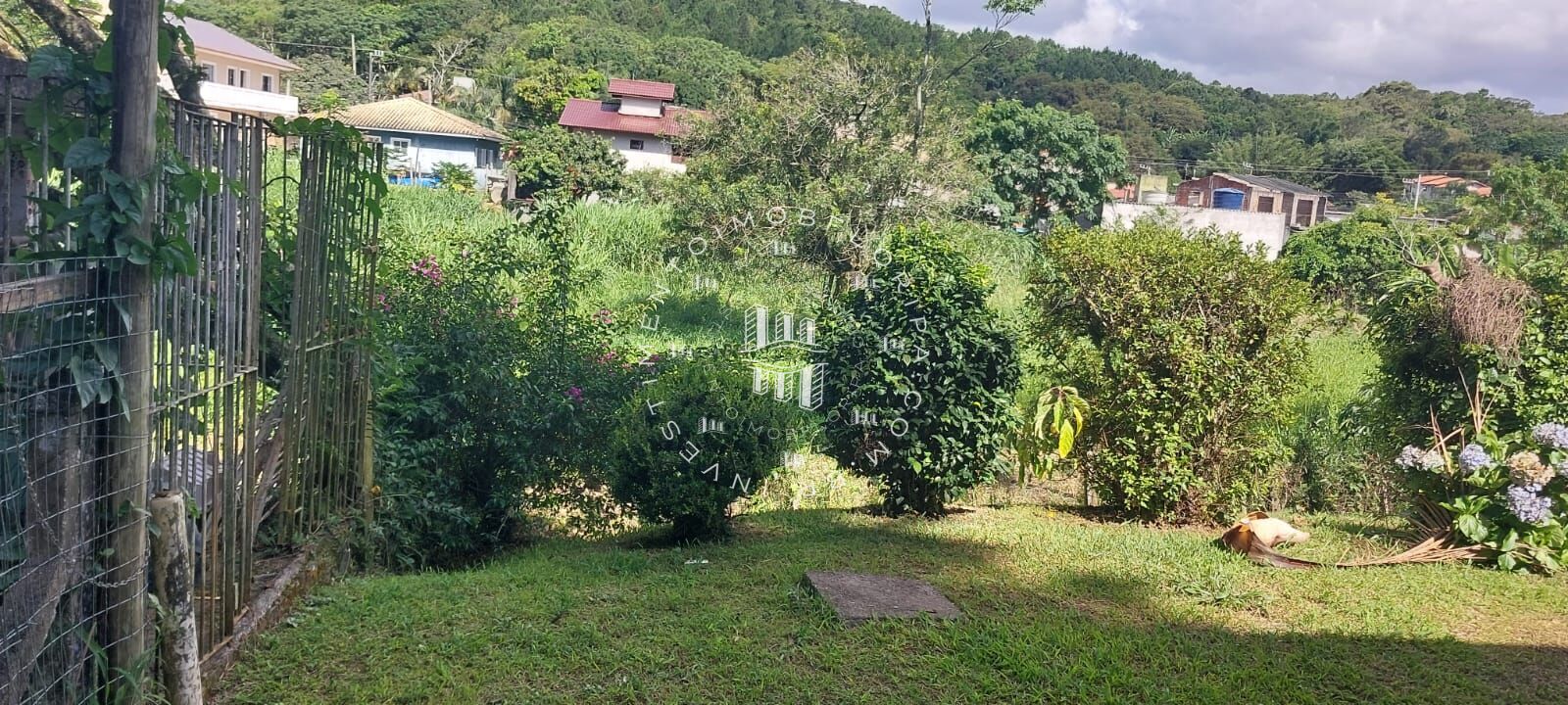 Fazenda à venda com 1 quarto, 66000m² - Foto 10