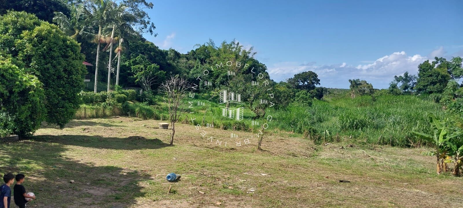 Fazenda à venda com 1 quarto, 66000m² - Foto 8