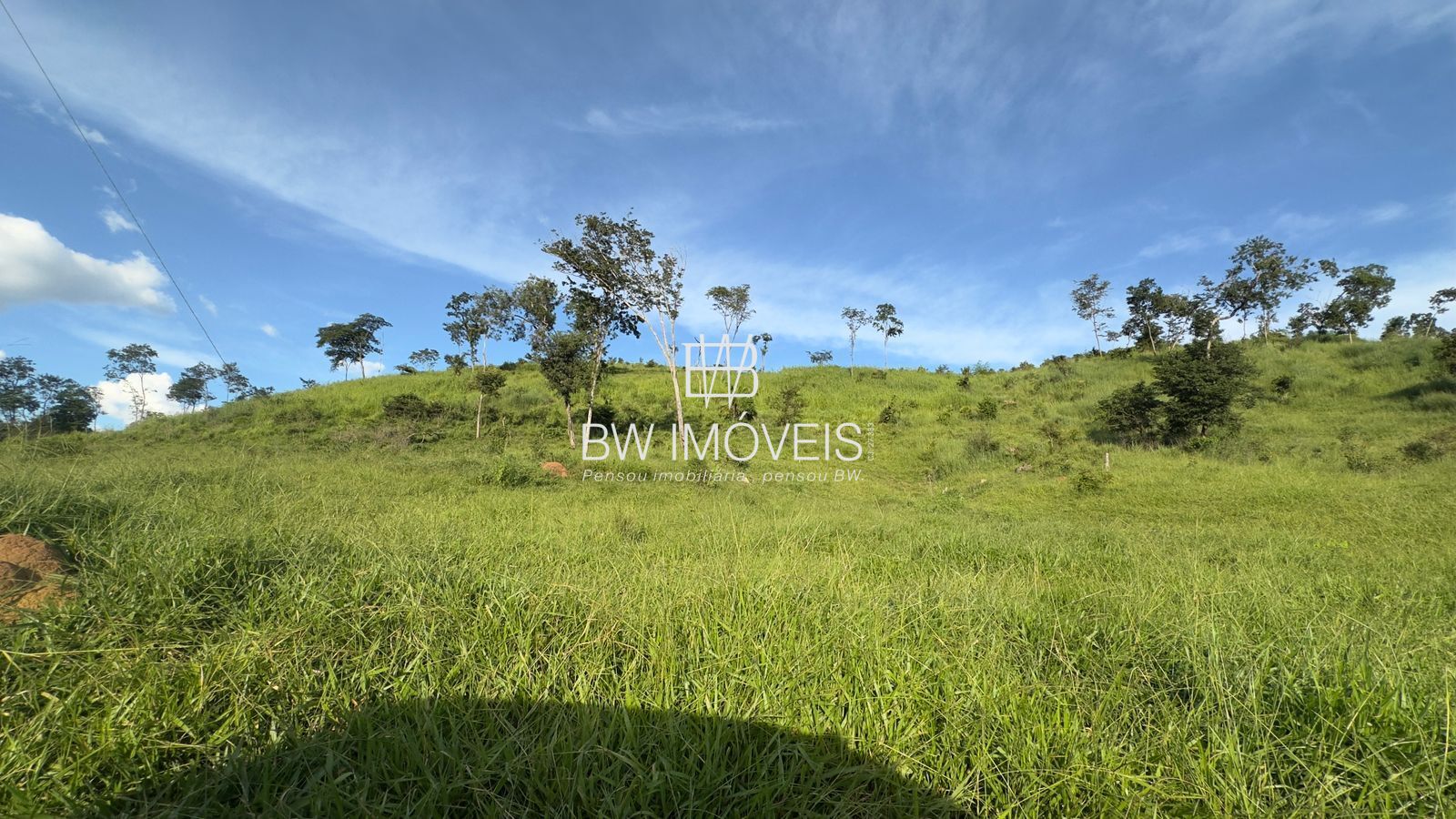 Fazenda, 119 hectares - Foto 9