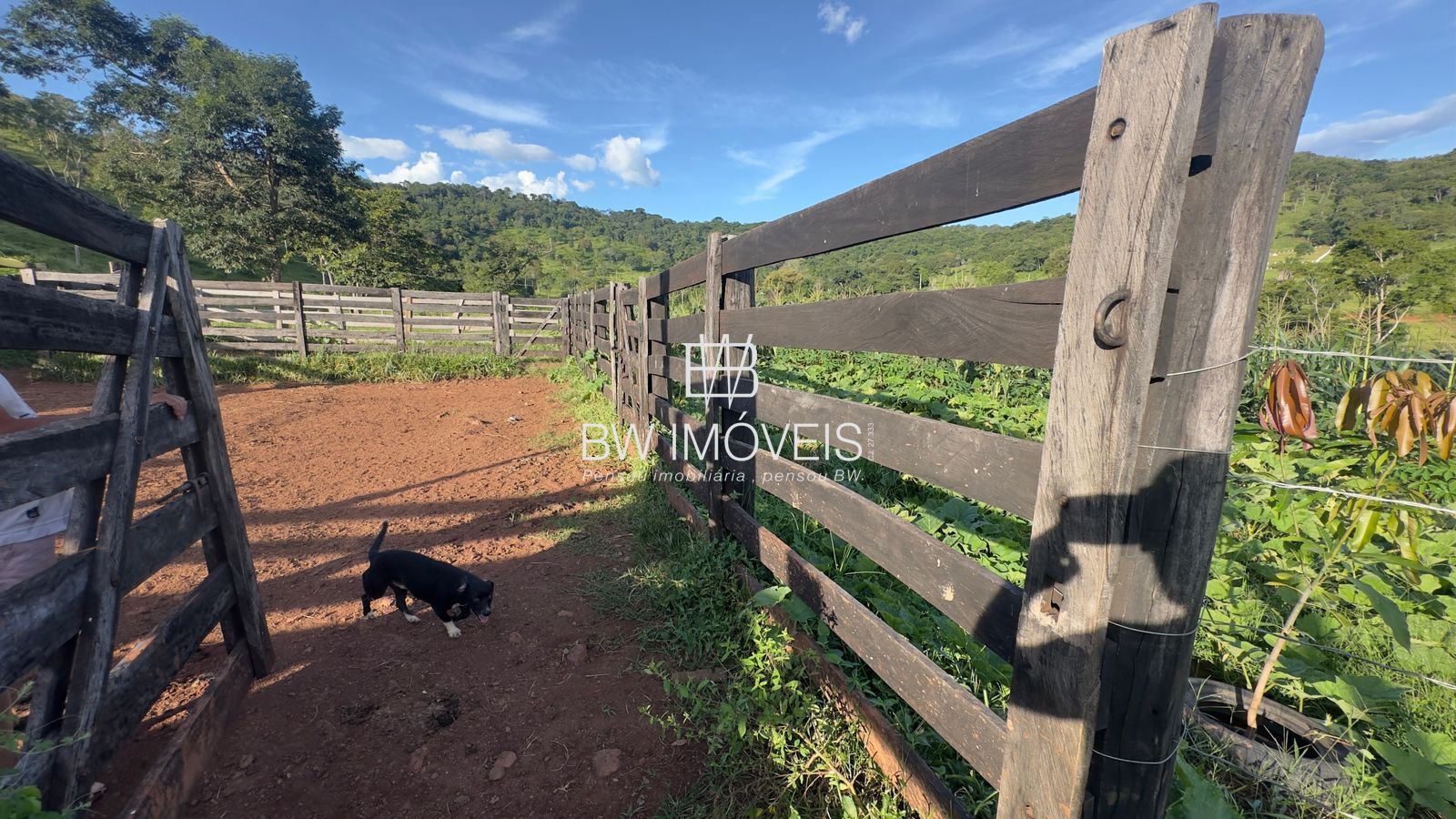 Fazenda, 119 hectares - Foto 16