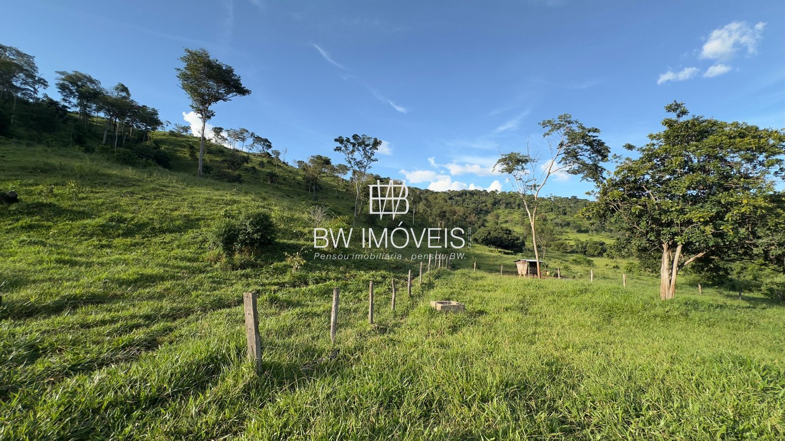 Fazenda, 119 hectares - Foto 14