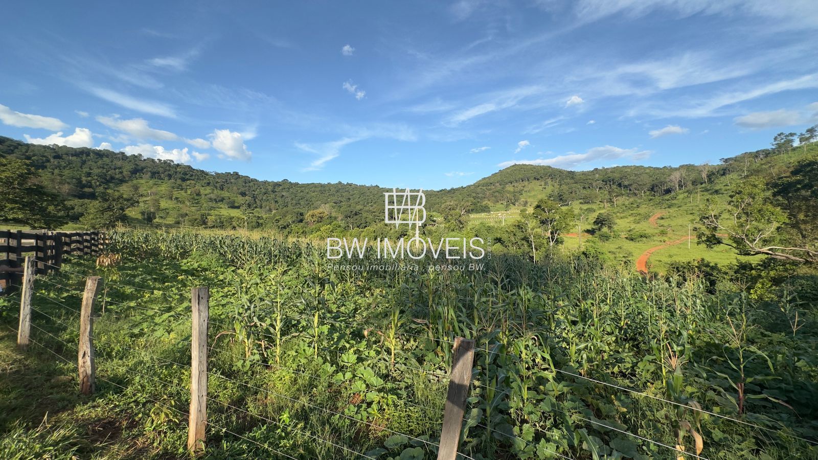 Fazenda, 119 hectares - Foto 25