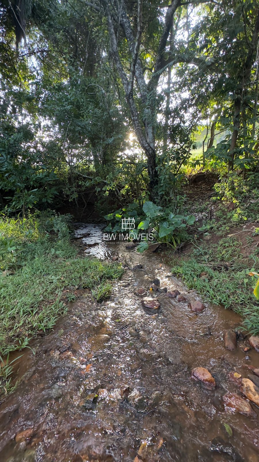 Fazenda, 119 hectares - Foto 11