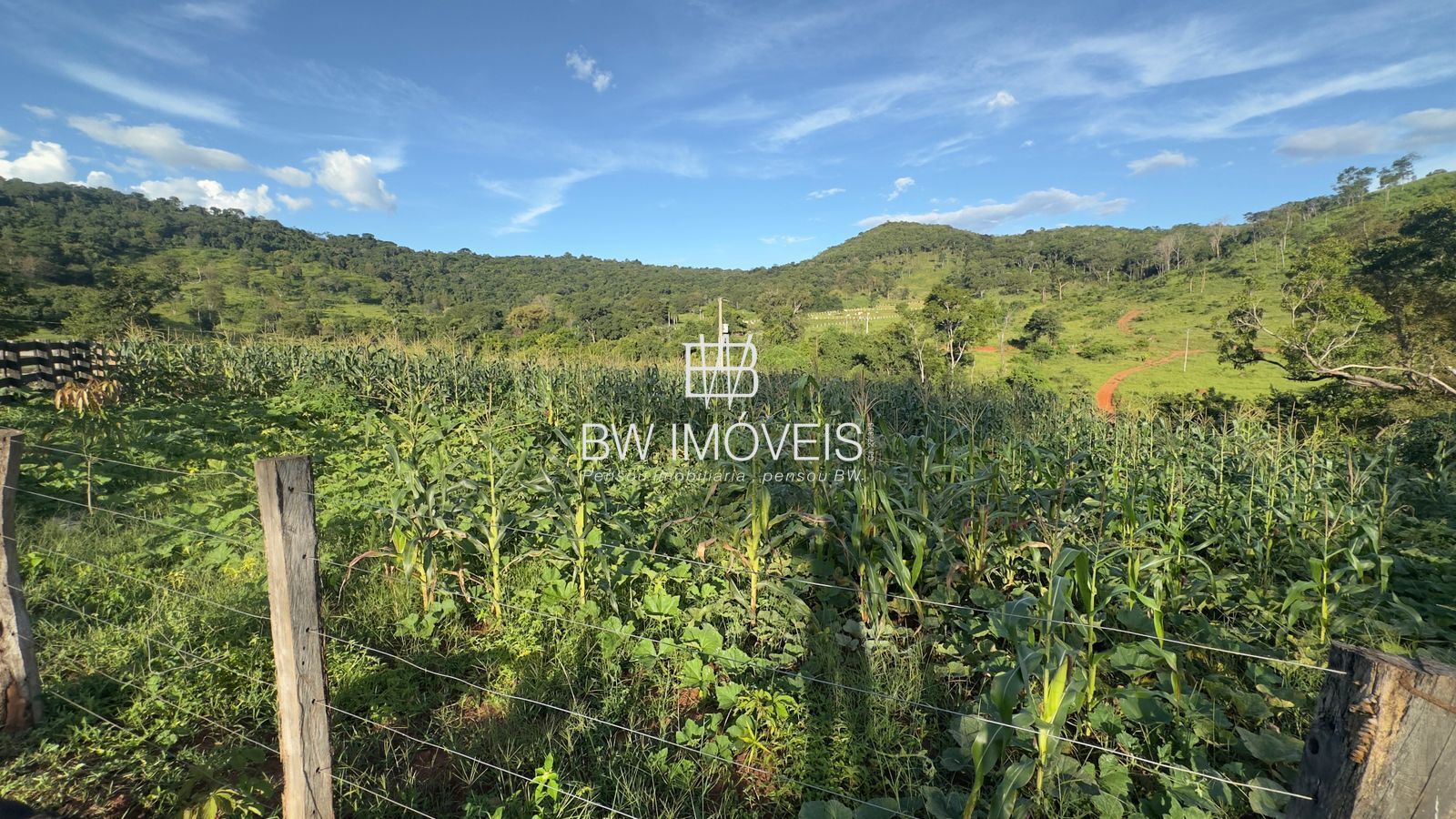 Fazenda, 119 hectares - Foto 22