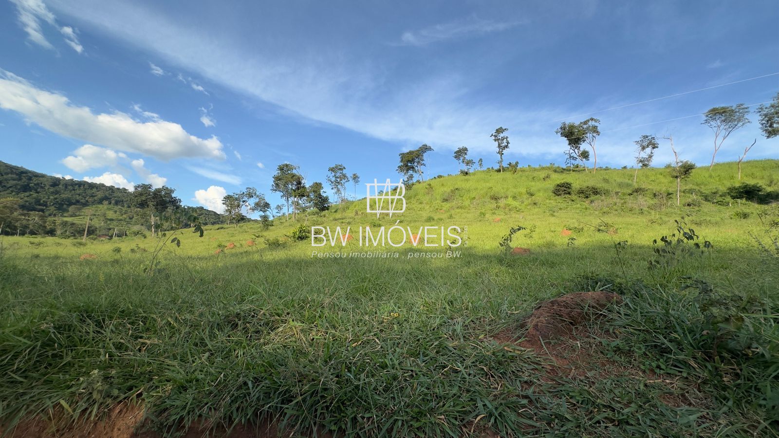 Fazenda, 119 hectares - Foto 6