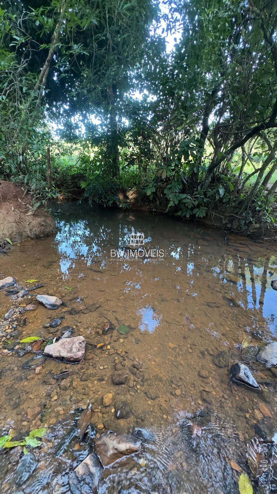 Fazenda, 119 hectares - Foto 8