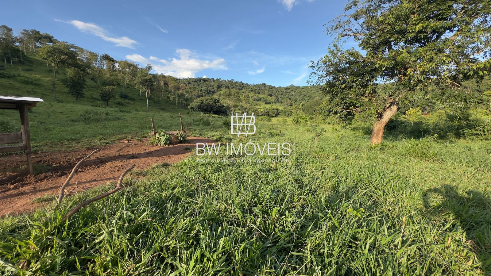 Fazenda, 119 hectares - Foto 12
