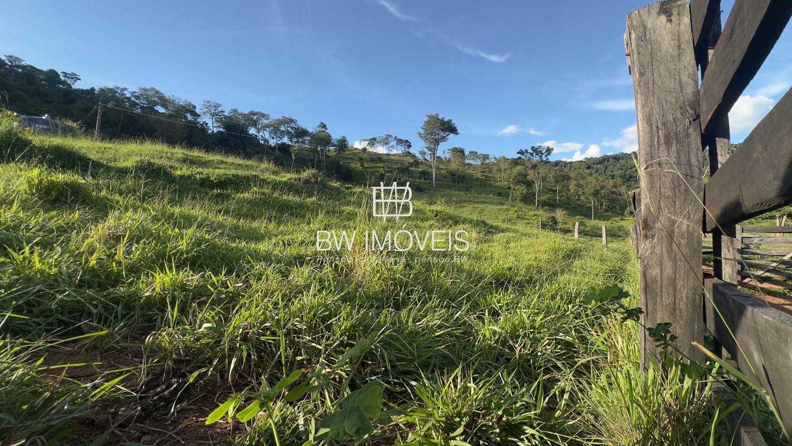 Fazenda, 119 hectares - Foto 29