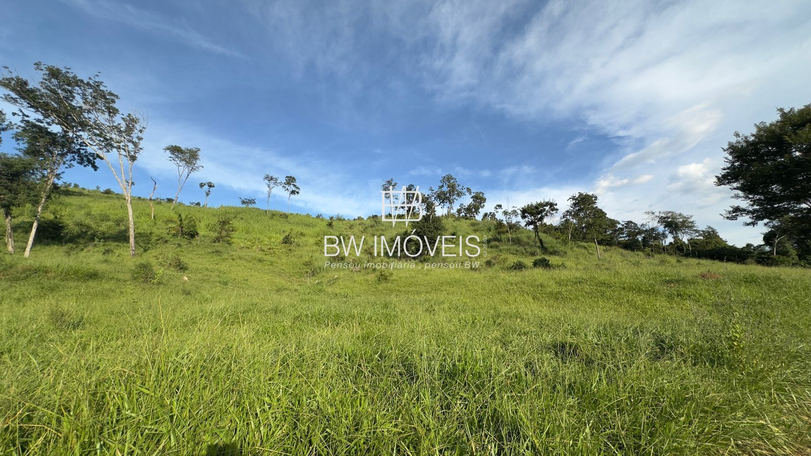 Fazenda, 119 hectares - Foto 4