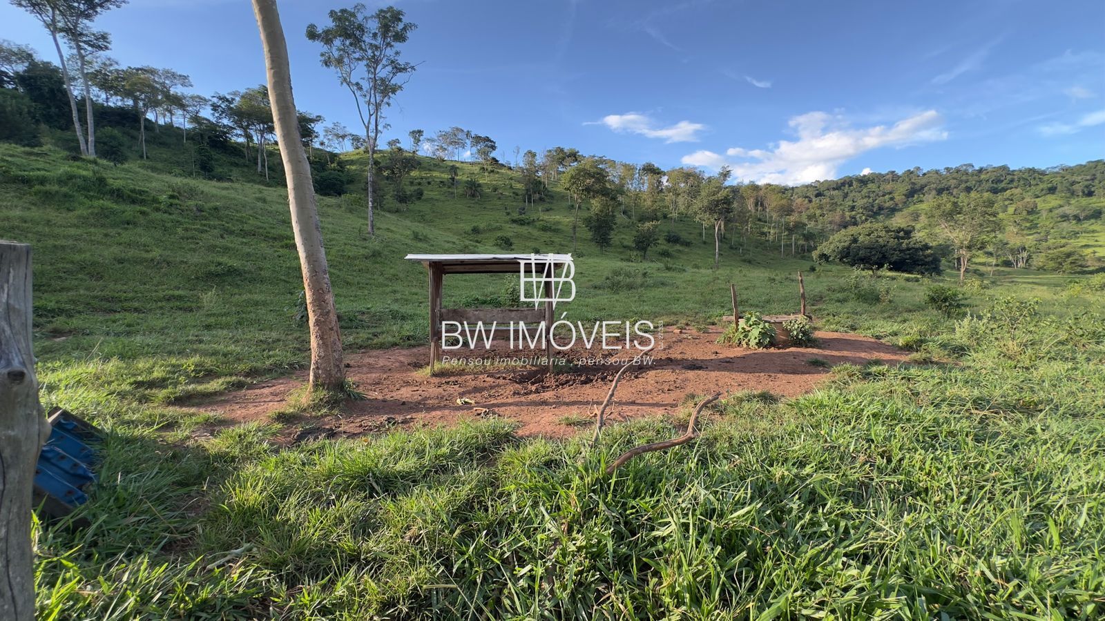 Fazenda, 119 hectares - Foto 20