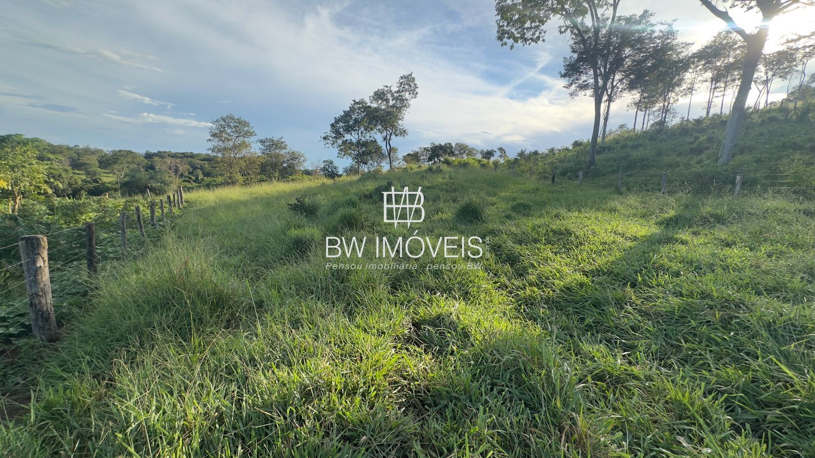 Fazenda, 119 hectares - Foto 24