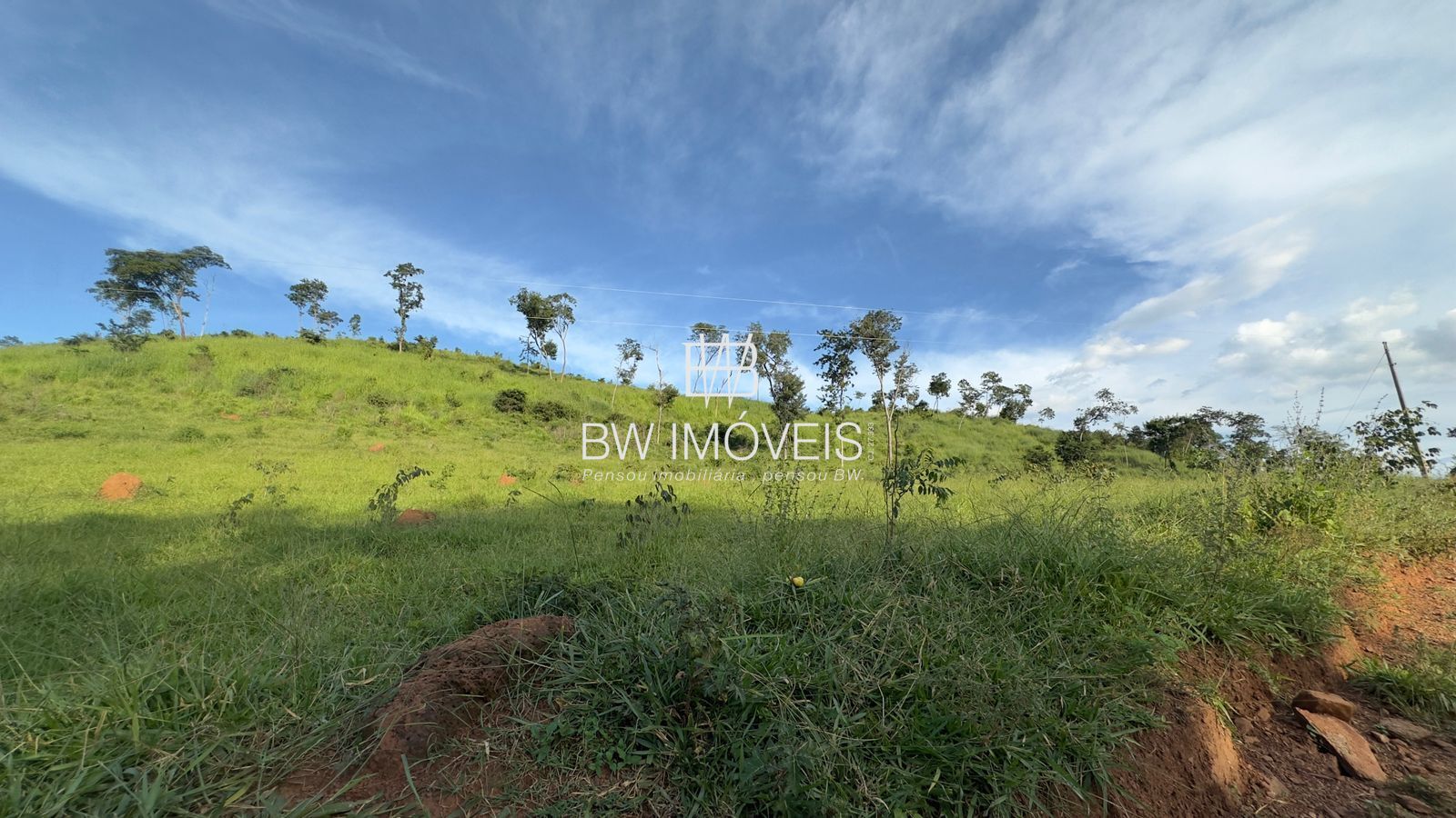 Fazenda, 119 hectares - Foto 7