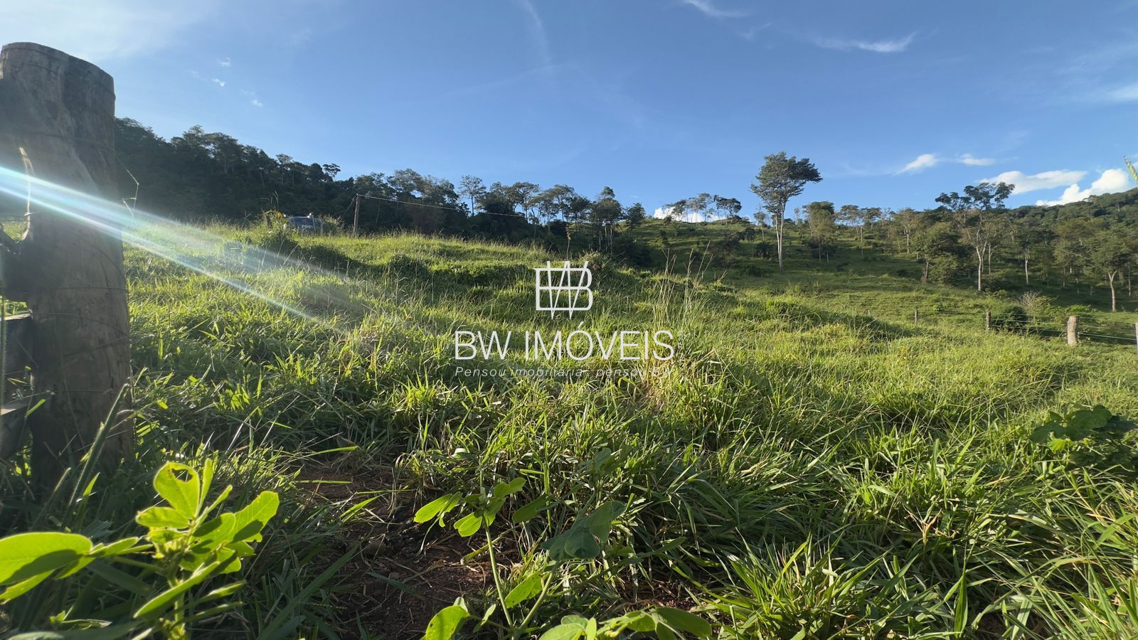 Fazenda, 119 hectares - Foto 28