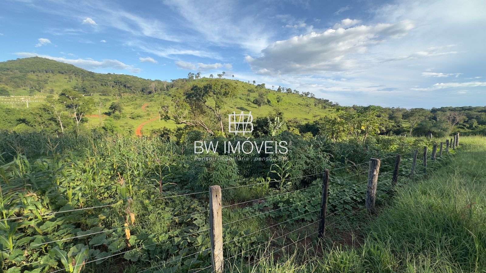 Fazenda, 119 hectares - Foto 23