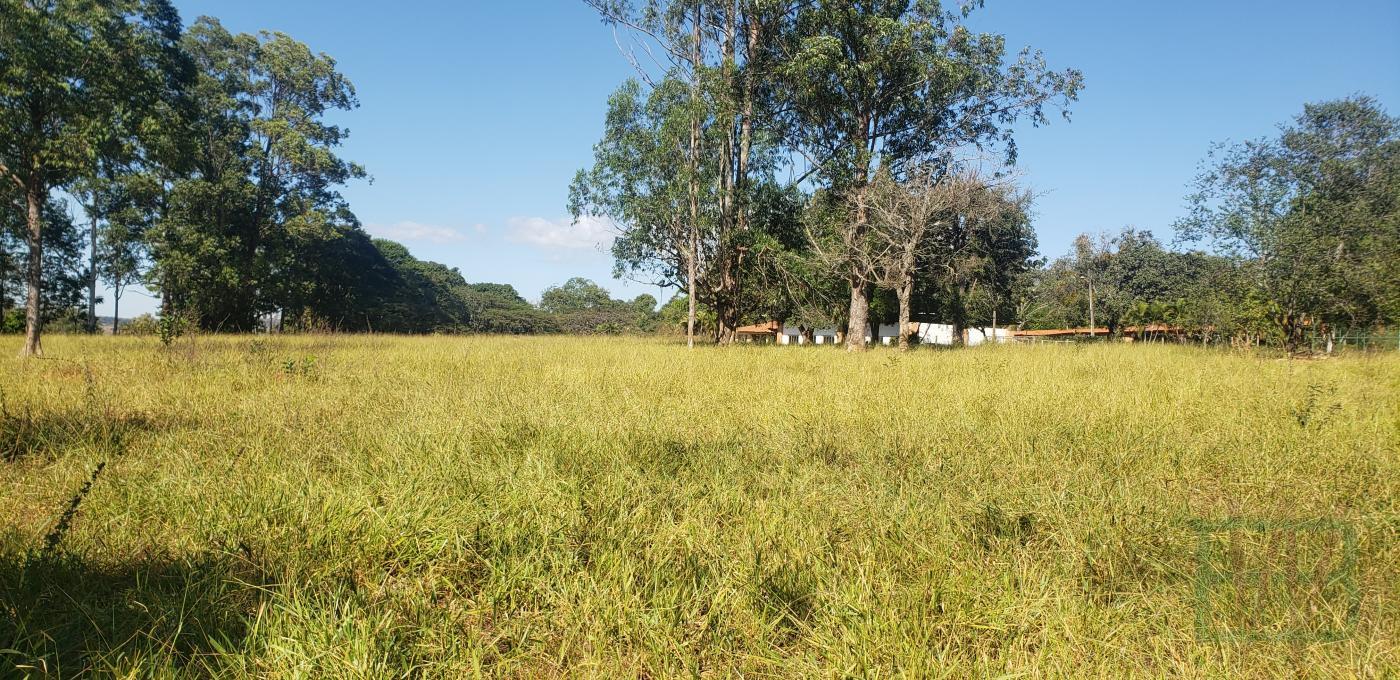 Fazenda à venda com 22 quartos, 290000m² - Foto 18