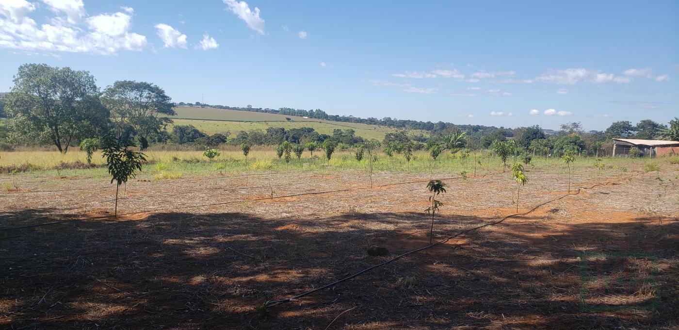 Fazenda à venda com 22 quartos - Foto 20