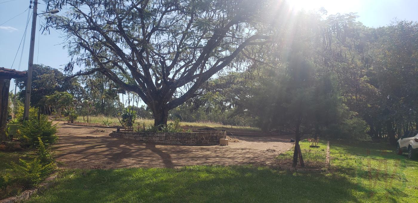 Fazenda à venda com 22 quartos, 290000m² - Foto 6