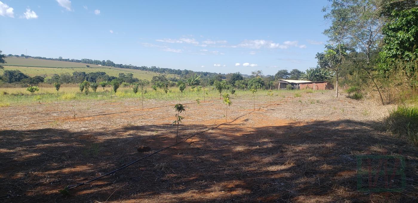 Fazenda à venda com 22 quartos, 290000m² - Foto 22