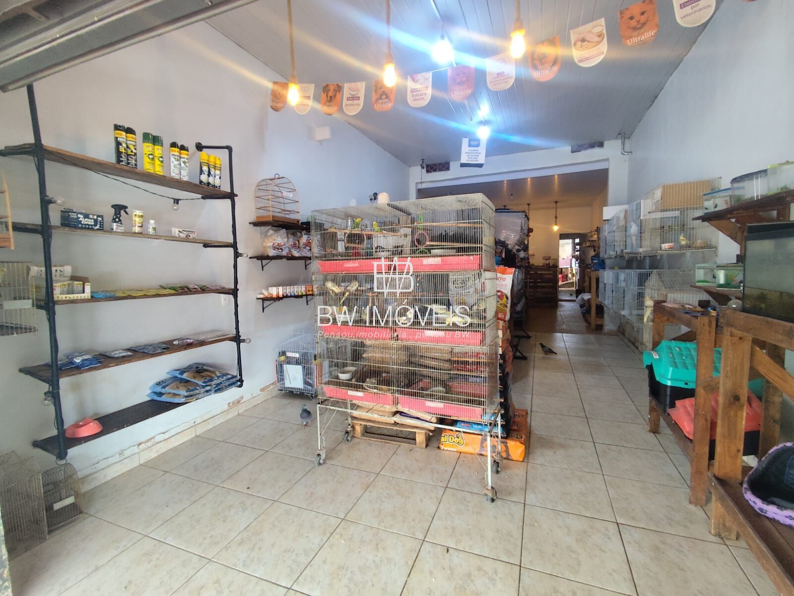 Sala-Conjunto, 390 m² - Foto 7