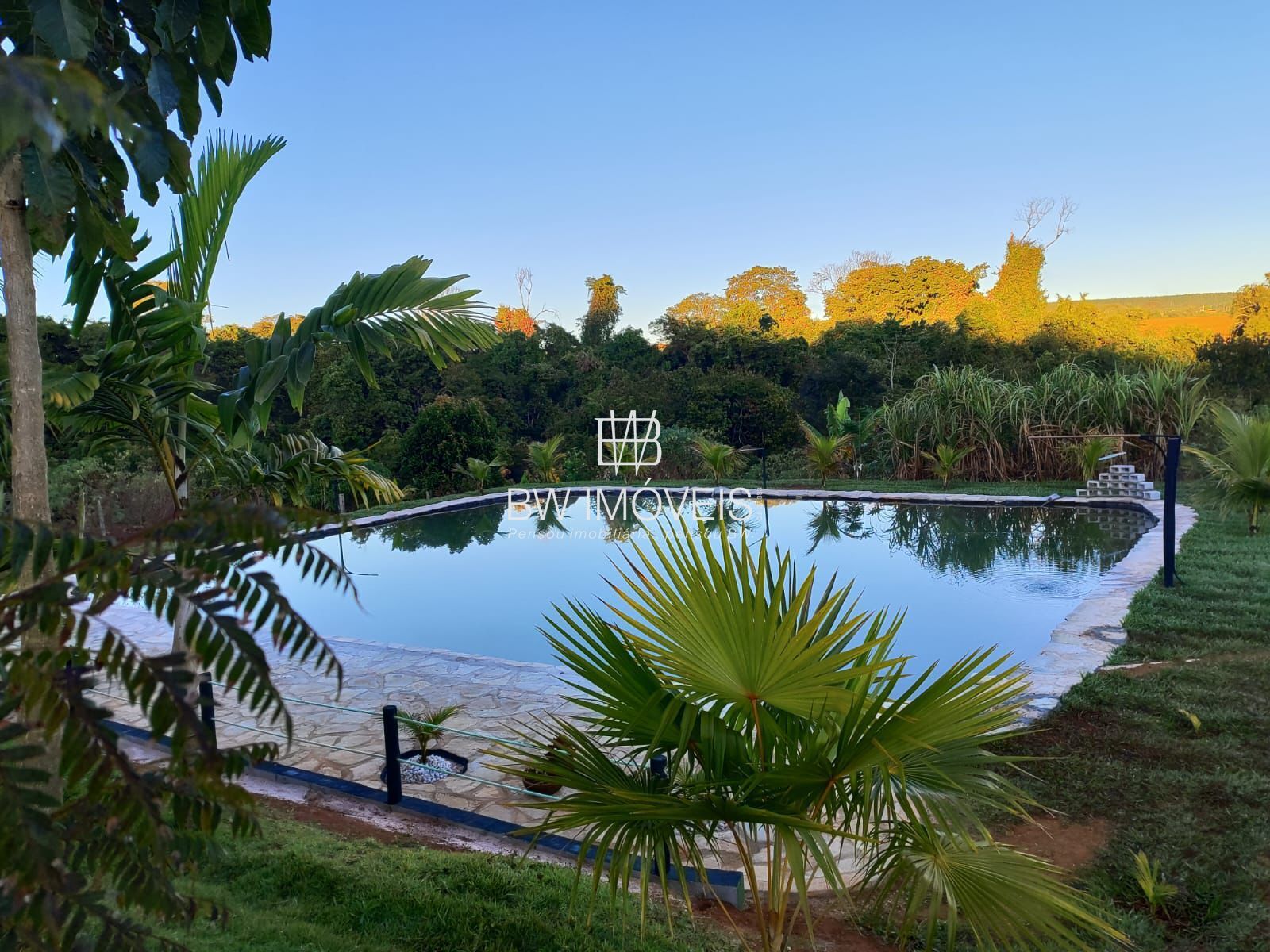 Sítio, 2 quartos, 5000 m² - Foto 27