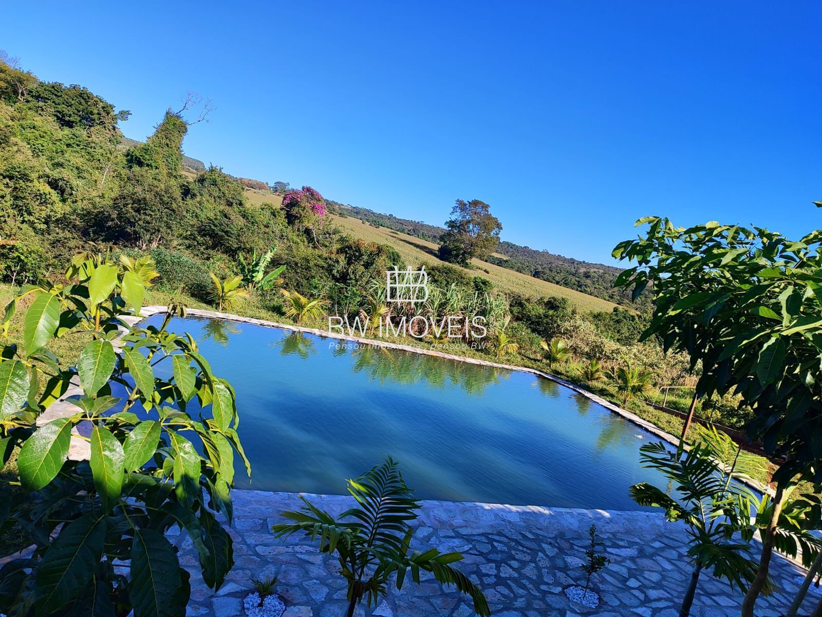 Sítio, 2 quartos, 5000 m² - Foto 26