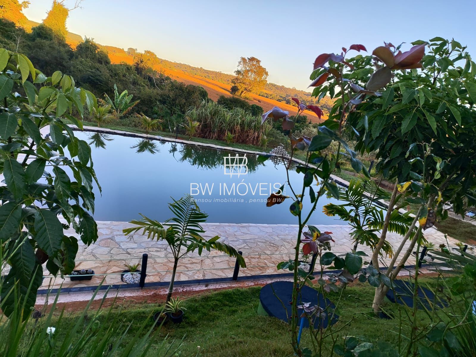 Sítio, 2 quartos, 5000 m² - Foto 24