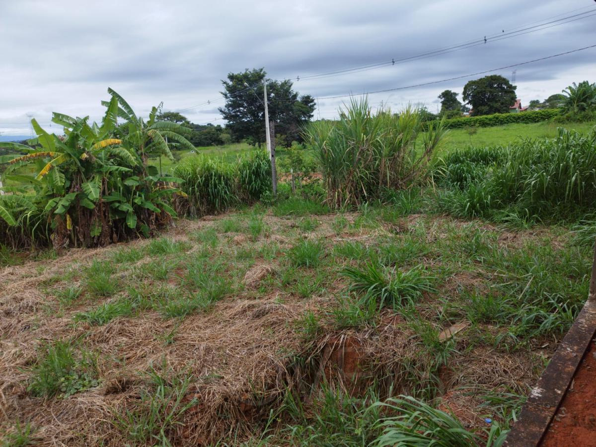 Fazenda à venda com 3 quartos, 1300m² - Foto 19