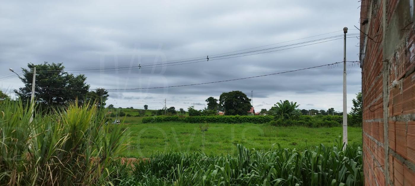 Fazenda à venda com 3 quartos, 1300m² - Foto 22