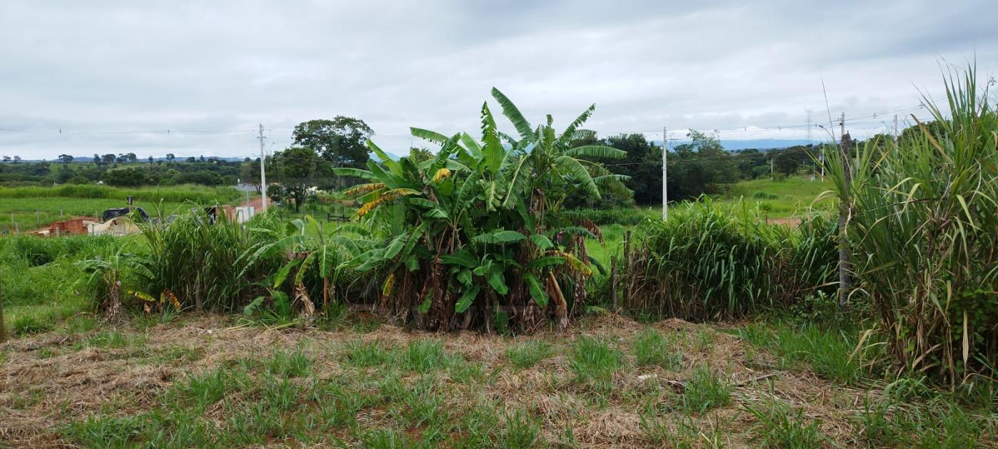 Fazenda à venda com 3 quartos, 1300m² - Foto 23