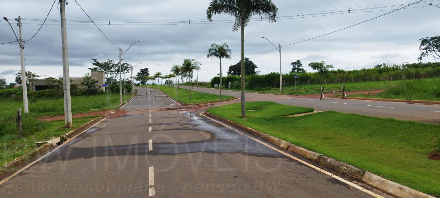 Fazenda à venda com 3 quartos, 1300m² - Foto 17