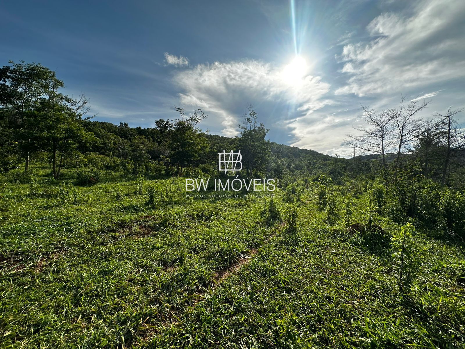 Fazenda à venda com 1 quarto, 1161600m² - Foto 1