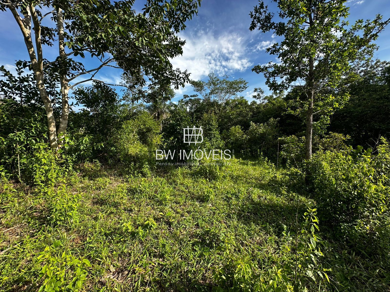 Fazenda à venda com 1 quarto, 1161600m² - Foto 2