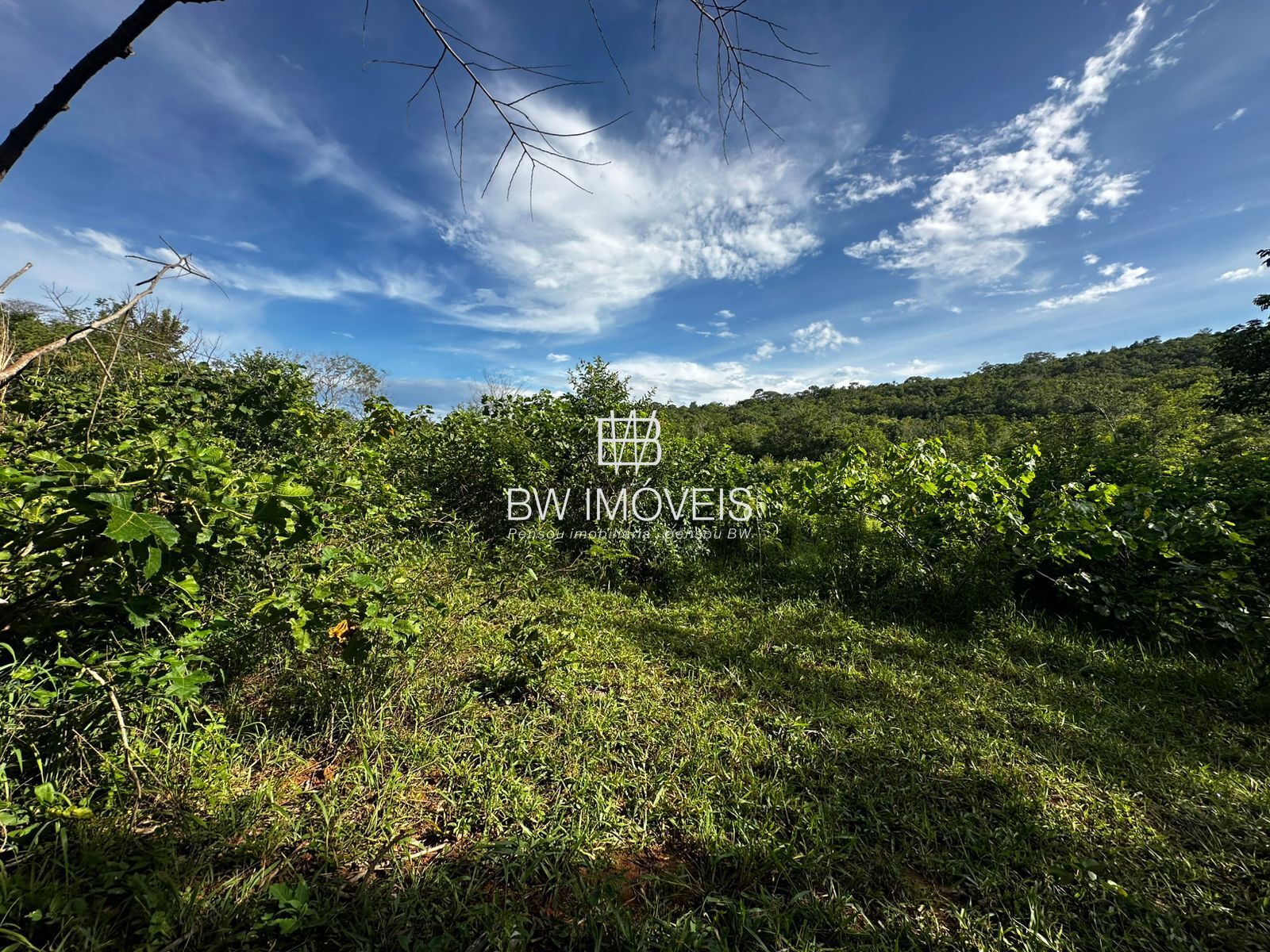 Fazenda à venda com 1 quarto, 1161600m² - Foto 5