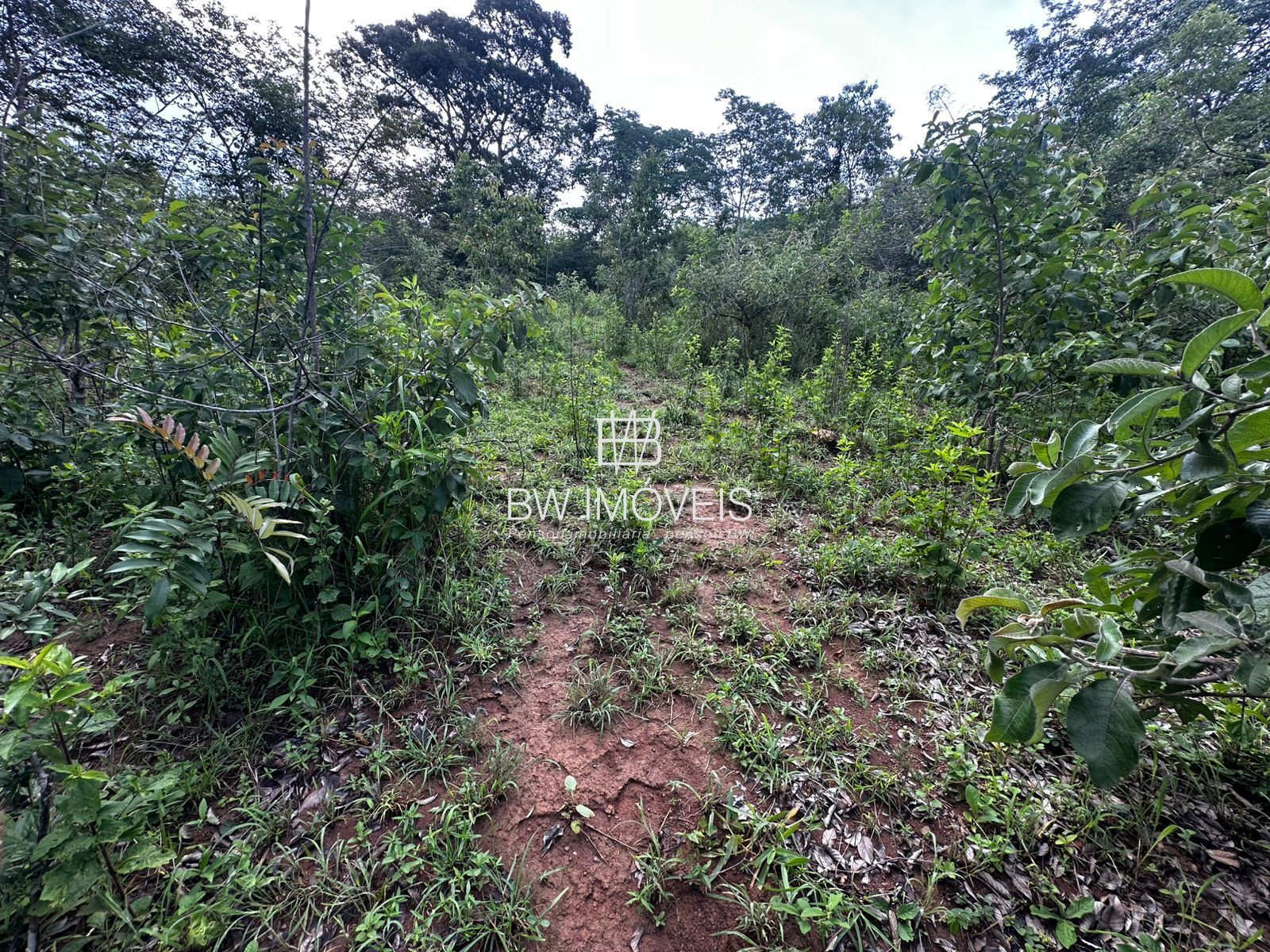 Fazenda à venda com 1 quarto, 1161600m² - Foto 12