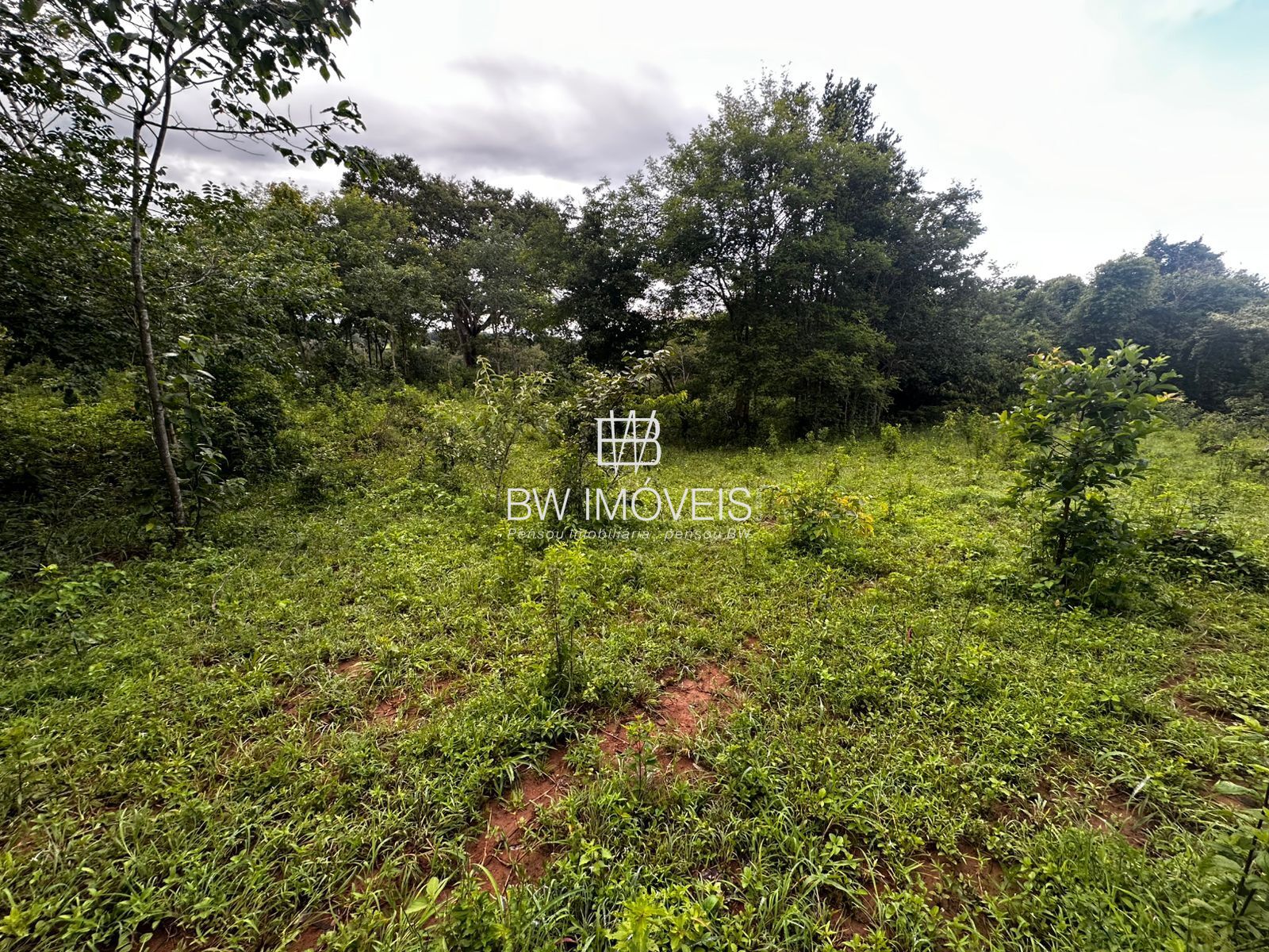 Fazenda à venda com 1 quarto, 1161600m² - Foto 25