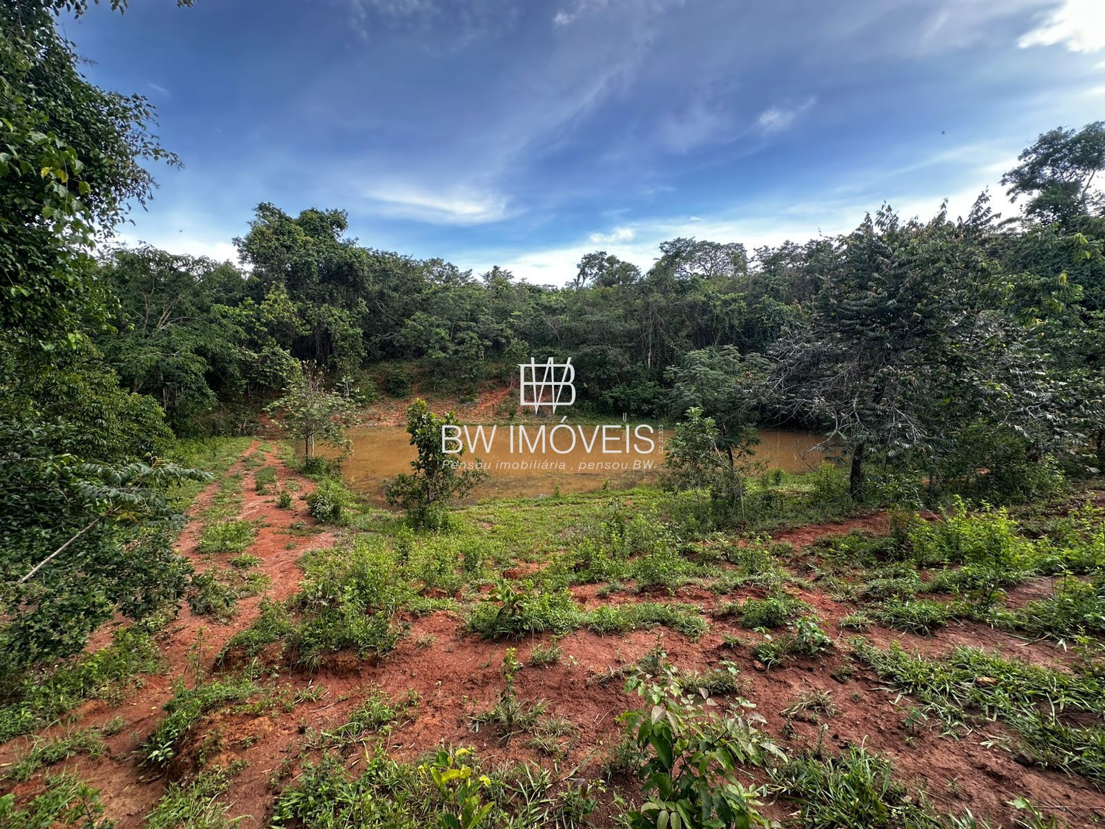 Fazenda à venda com 1 quarto, 1161600m² - Foto 11