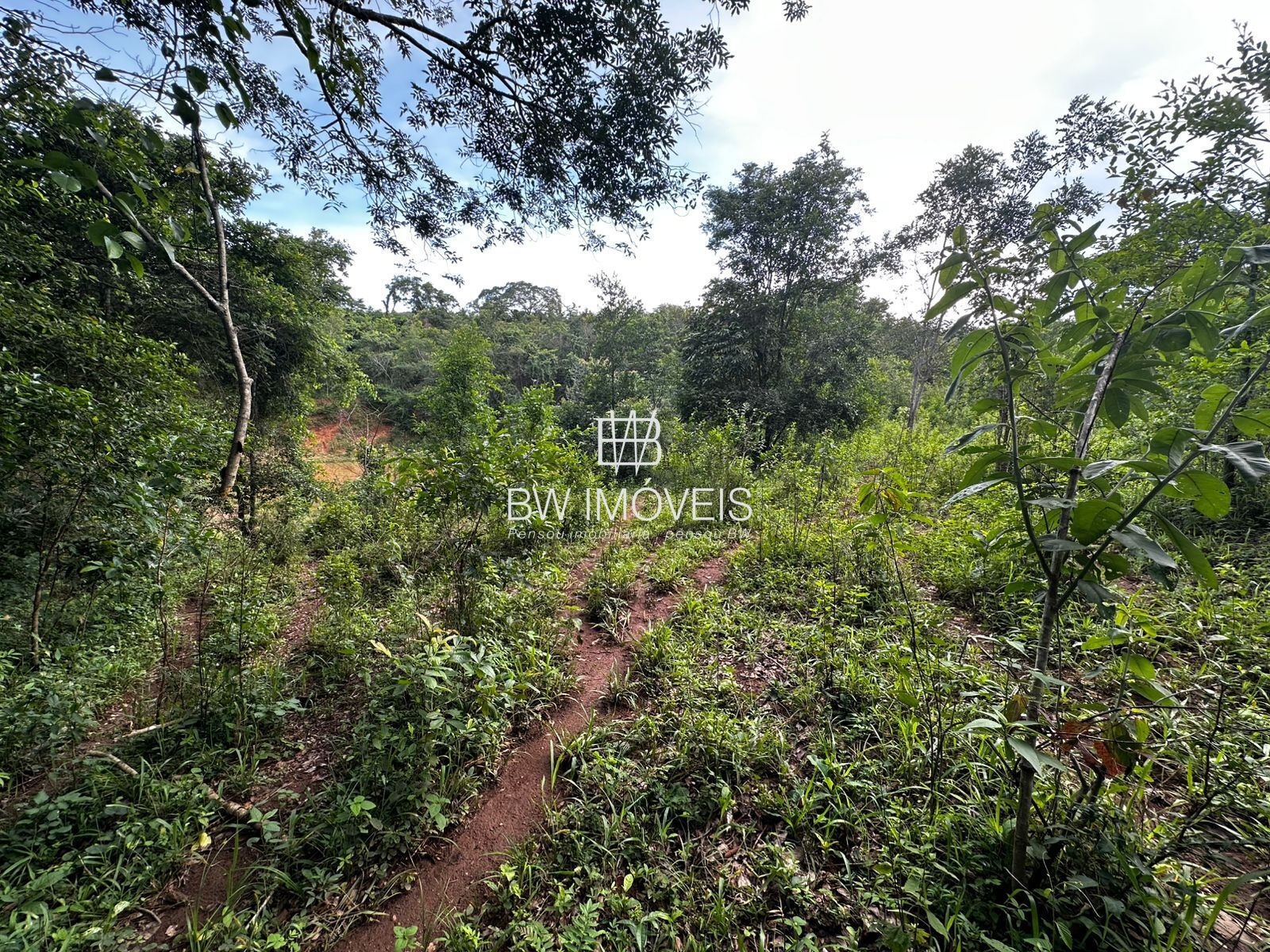 Fazenda à venda com 1 quarto, 1161600m² - Foto 10