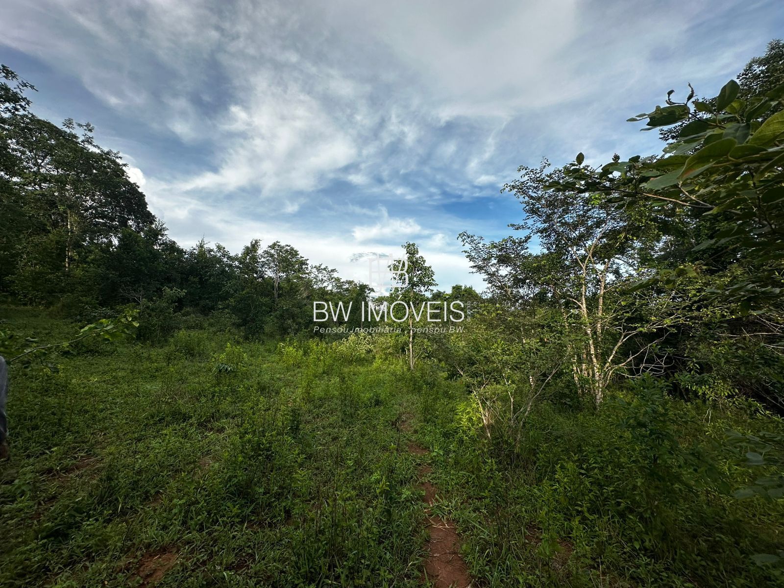 Fazenda à venda com 1 quarto, 1161600m² - Foto 20