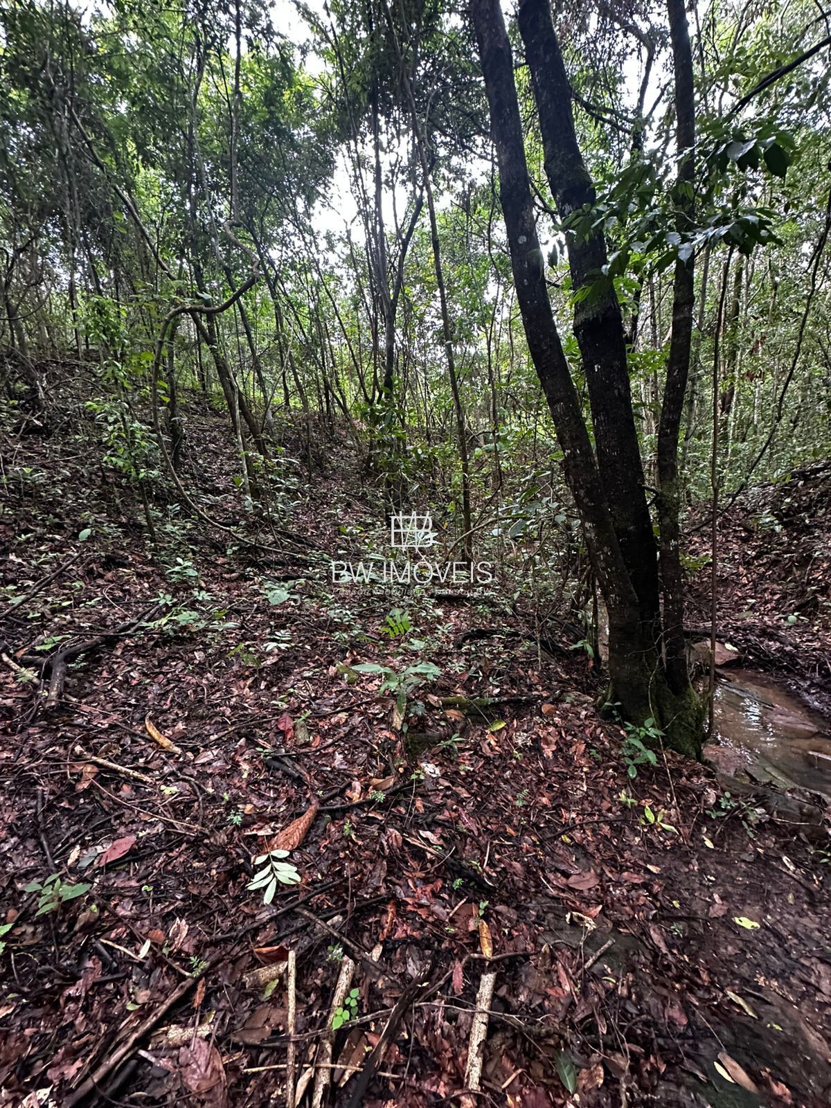 Fazenda à venda com 1 quarto, 1161600m² - Foto 17