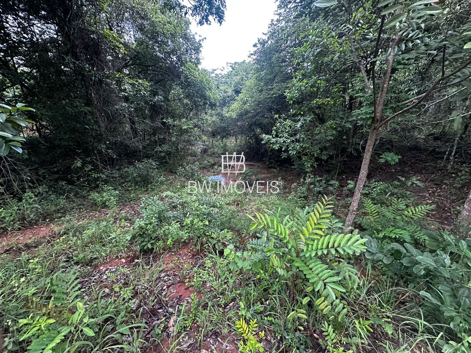 Fazenda à venda com 1 quarto, 1161600m² - Foto 24