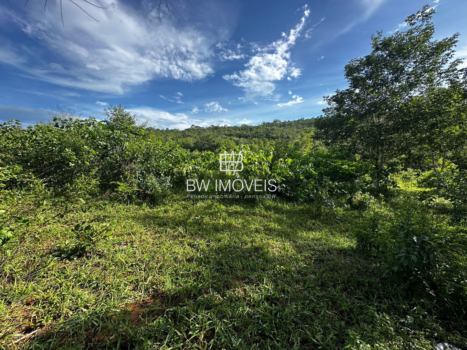 Fazenda à venda com 1 quarto, 1161600m² - Foto 3