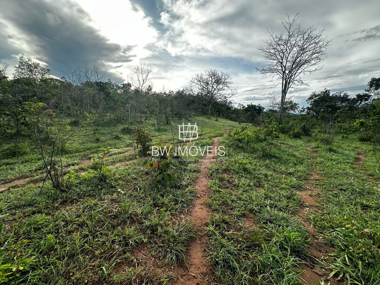 Fazenda à venda com 1 quarto, 1161600m² - Foto 8