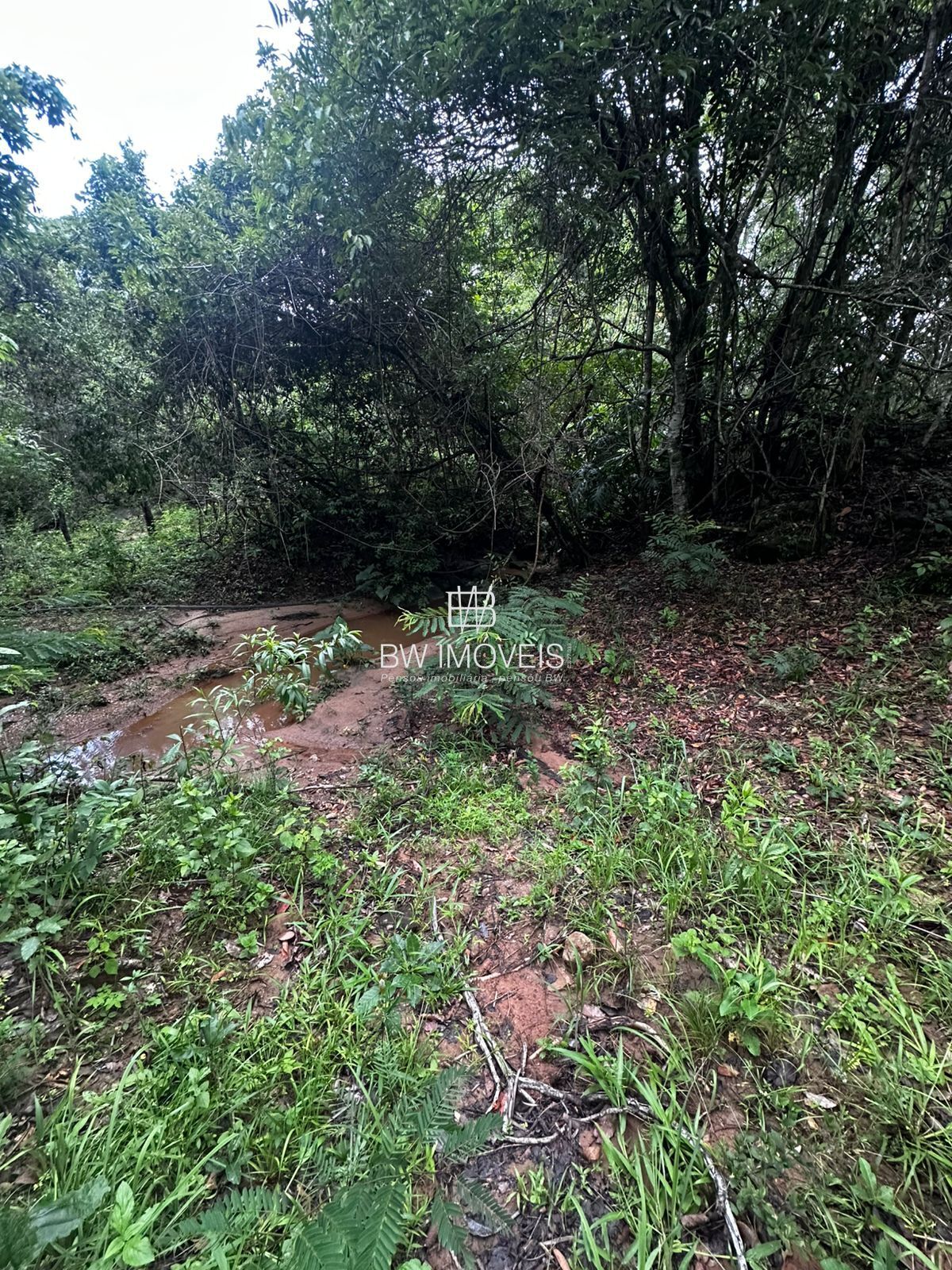Fazenda à venda com 1 quarto, 1161600m² - Foto 23