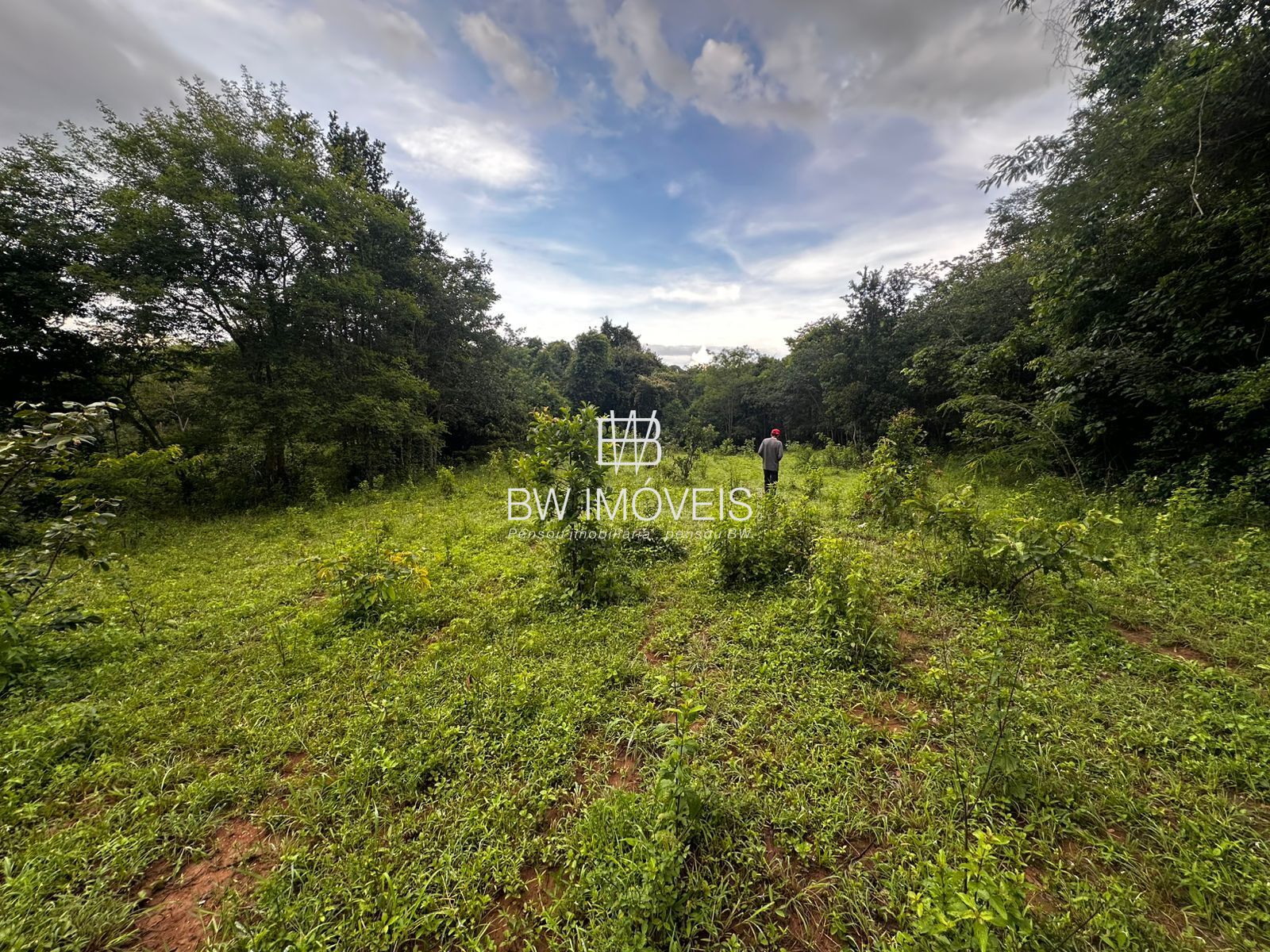 Fazenda à venda com 1 quarto, 1161600m² - Foto 26