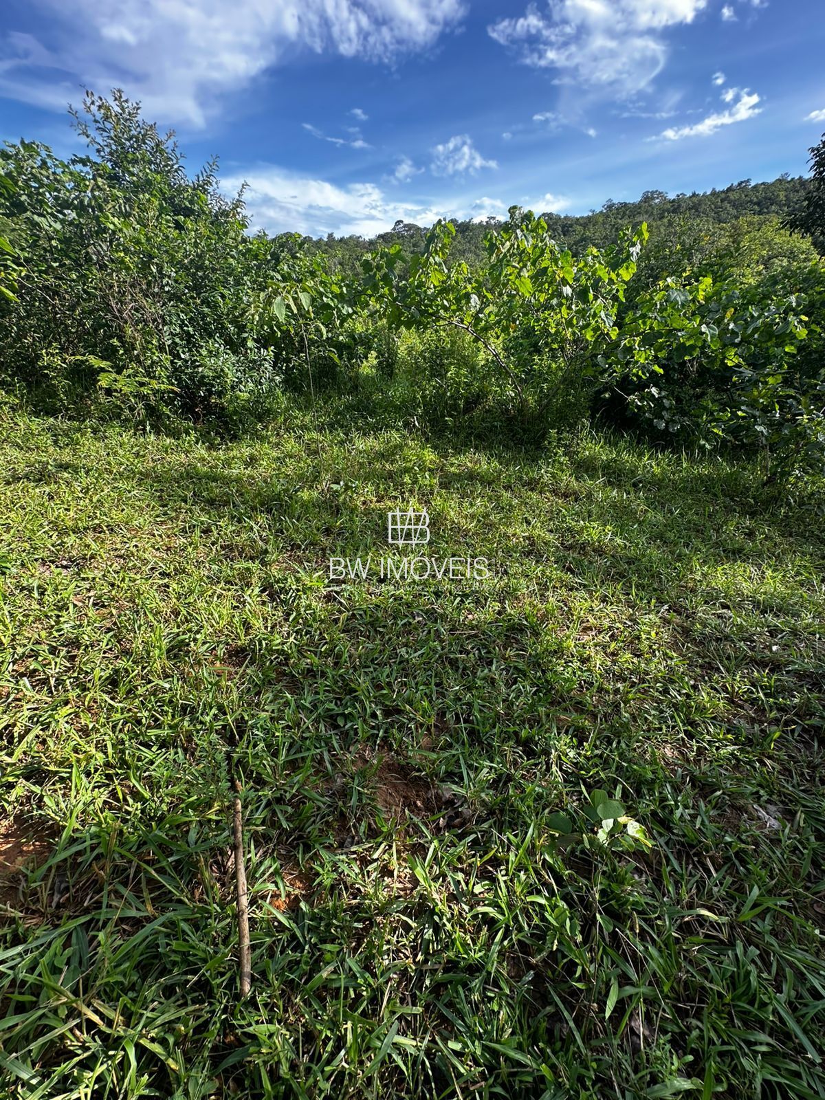Fazenda à venda com 1 quarto, 1161600m² - Foto 4