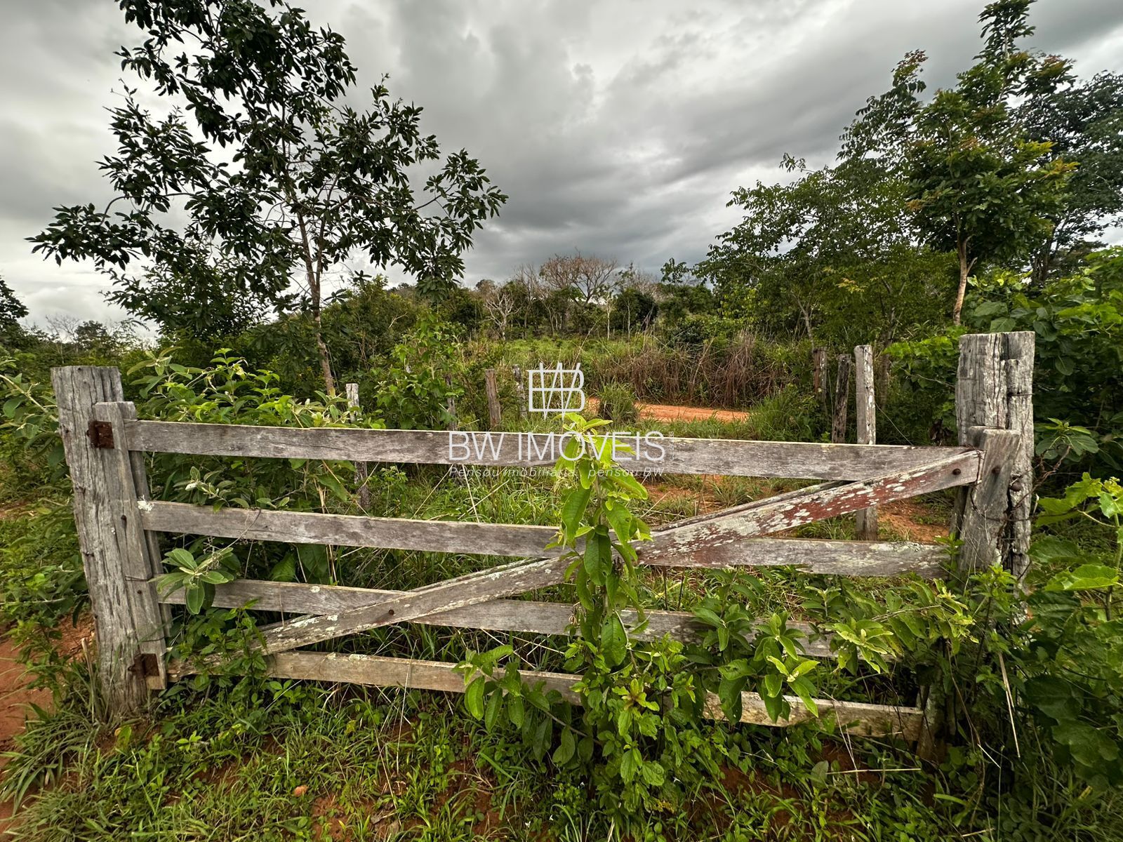 Fazenda à venda com 1 quarto, 1161600m² - Foto 30