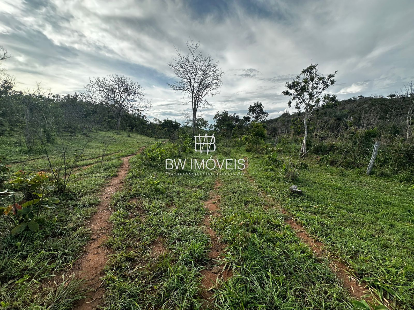Fazenda à venda com 1 quarto, 1161600m² - Foto 9