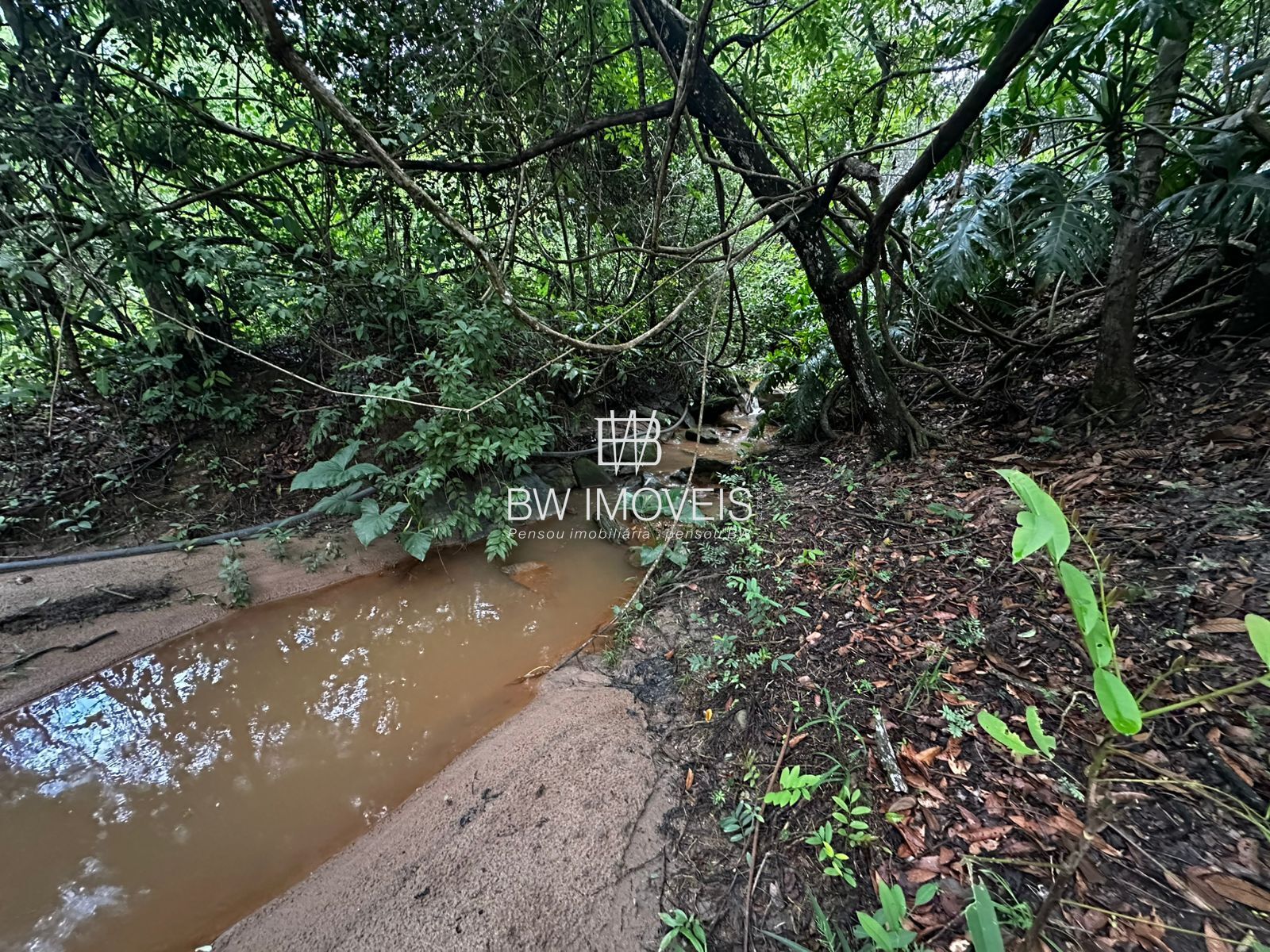 Fazenda à venda com 1 quarto, 1161600m² - Foto 29
